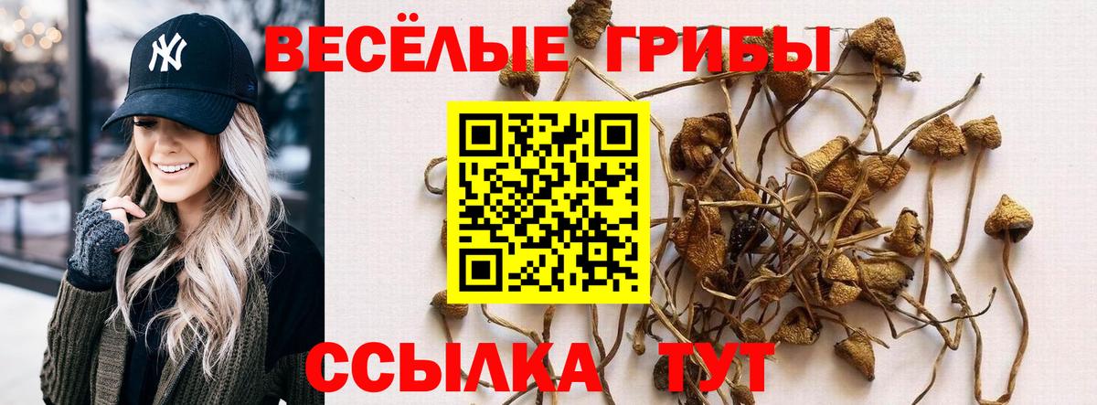 Псилоцибиновые грибы мухоморы  Вход с VPN  Гусев  Псилоцибиновые грибы ЛСД 